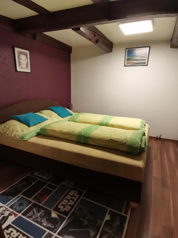 Apartman Ve Mlejne Nová Bystřice Eksteriør bilde