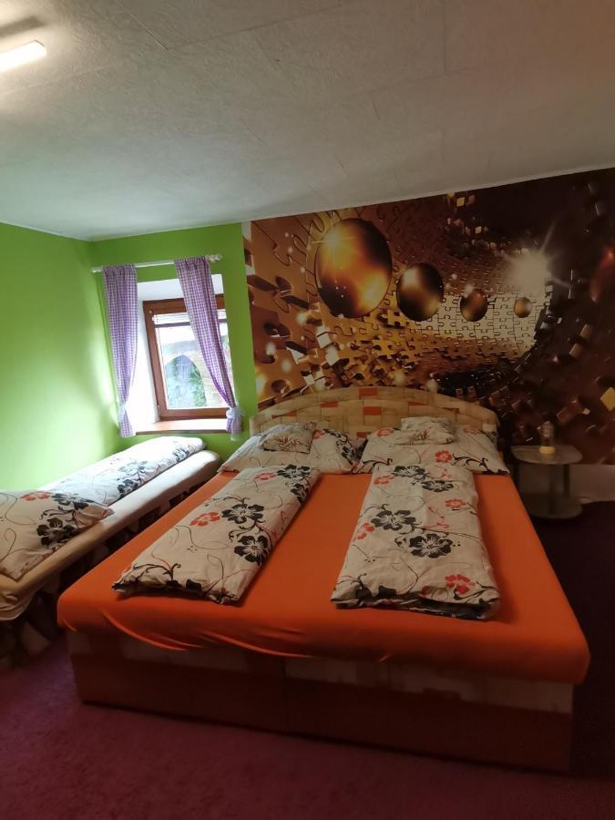 Apartman Ve Mlejne Nová Bystřice Eksteriør bilde