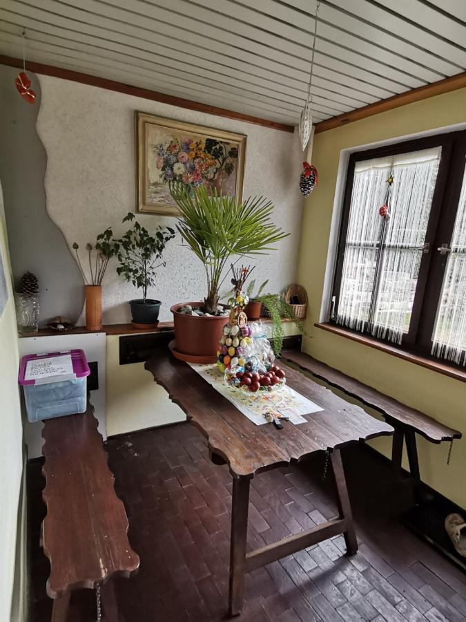 Apartman Ve Mlejne Nová Bystřice Eksteriør bilde