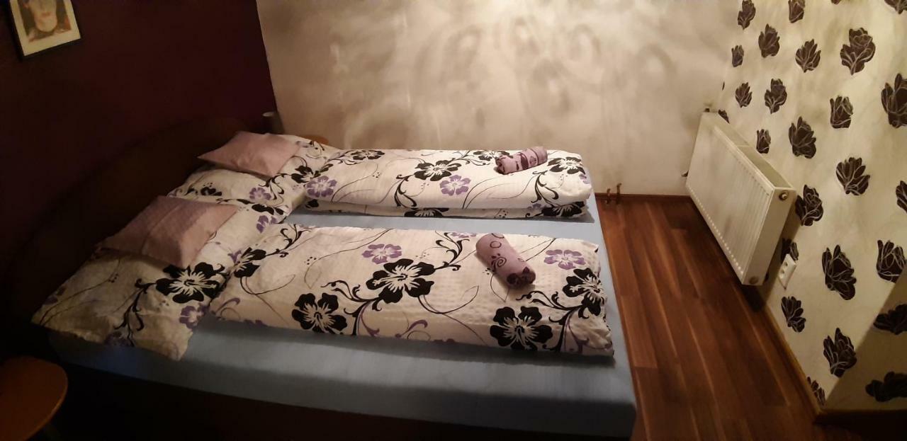 Apartman Ve Mlejne Nová Bystřice Eksteriør bilde